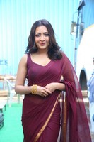 Catherine Tresa at Karikaala Pooja Ceremony
